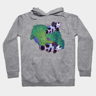 Black and White Clown Fish Hoodie